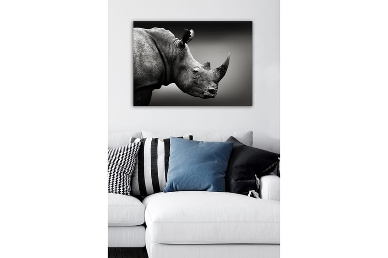 Dekorativ Canvastavla 50x70 cm, Flerfärgad