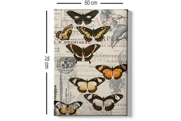 Dekorativ Canvastavla 50x70 cm - Flerfärgad - Inredning - Tavlor & posters - Canvastavla