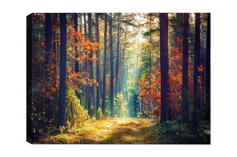 Dekorativ Canvastavla 50x70 cm, Flerfärgad