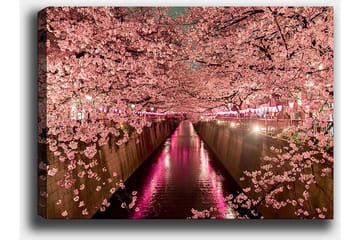 Dekorativ Canvastavla 50x70 cm - Flerfärgad - Inredning - Tavlor & posters - Canvastavla