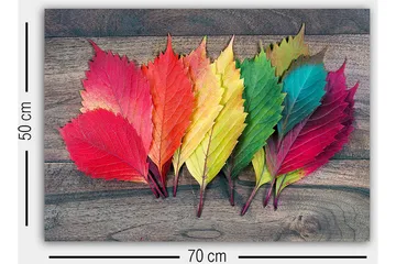 Dekorativ Canvastavla 50x70 cm - Flerfärgad - Inredning - Tavlor & posters - Canvastavla