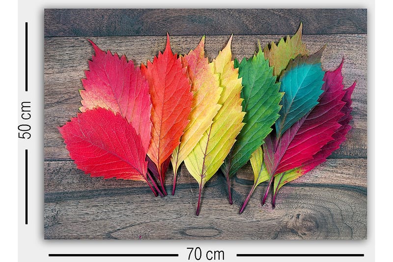 Dekorativ Canvastavla 50x70 cm - Flerfärgad - Inredning - Tavlor & posters - Canvastavla