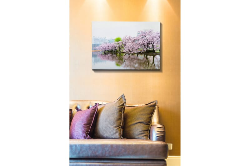 Dekorativ Canvastavla 50x70 cm, Flerfärgad