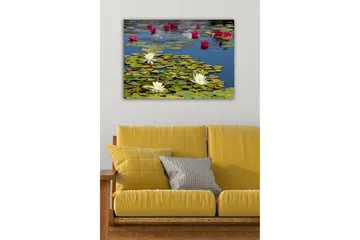 Dekorativ Canvastavla 50x70 cm - Flerfärgad - Inredning - Tavlor & posters - Canvastavla