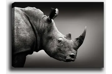 Dekorativ Canvastavla 50x70 cm - Flerfärgad - Inredning - Tavlor & posters - Canvastavla