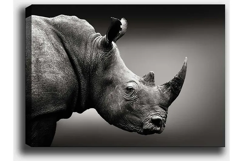 Dekorativ Canvastavla 50x70 cm - Flerfärgad - Inredning - Tavlor & posters - Canvastavla