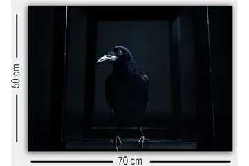 Dekorativ Canvastavla 50x70 cm - Flerfärgad - Inredning - Tavlor & posters - Canvastavla