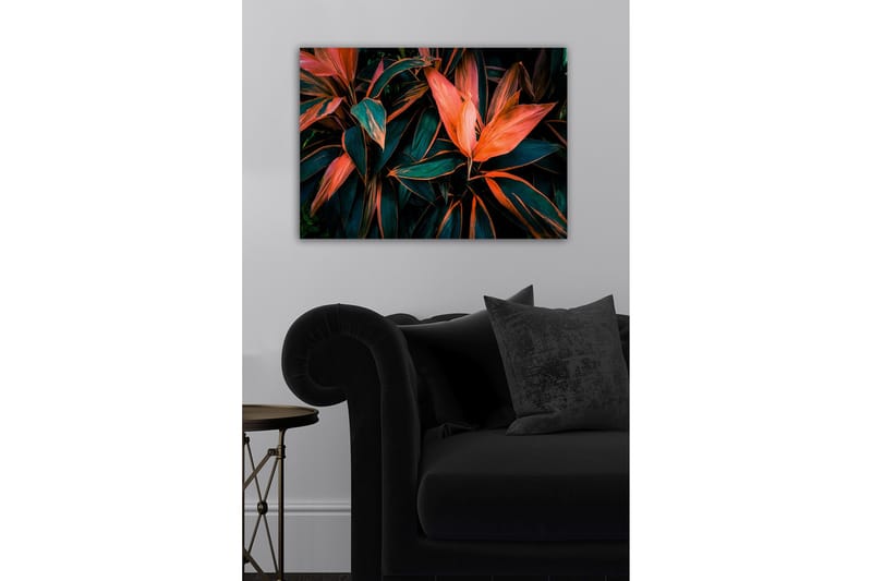 Dekorativ Canvastavla 50x70 cm, Flerfärgad