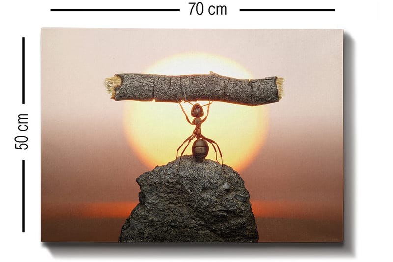 Dekorativ Canvastavla 50x70 cm - Flerfärgad - Inredning - Tavlor & posters - Canvastavla