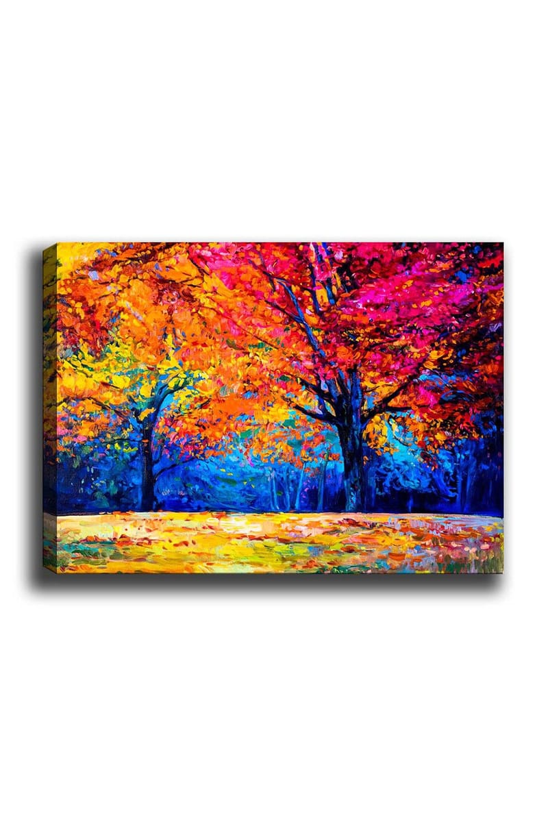 Dekorativ Canvastavla 50x70 cm, Flerfärgad