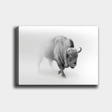 Dekorativ Canvastavla 70x100 cm - Flerfärgad - Inredning - Tavlor & posters - Canvastavla