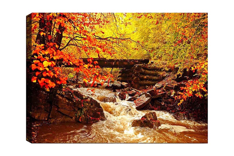 Dekorativ Canvastavla 70x100 cm - Flerfärgad - Inredning - Tavlor & posters - Canvastavla
