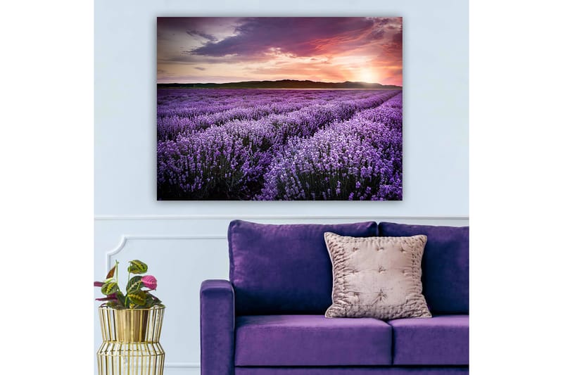 Dekorativ Canvastavla 70x100 cm - Flerfärgad - Inredning - Tavlor & posters - Canvastavla