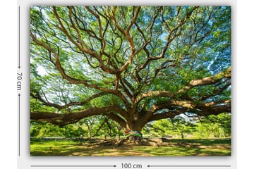 Dekorativ Canvastavla 70x100 cm - Flerfärgad - Inredning - Tavlor & posters - Canvastavla