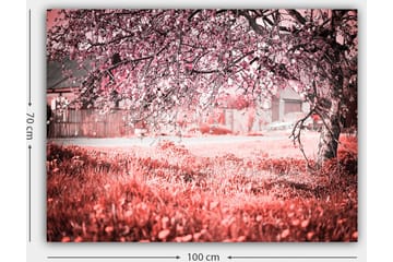 Dekorativ Canvastavla 70x100 cm - Flerfärgad - Inredning - Tavlor & posters - Canvastavla