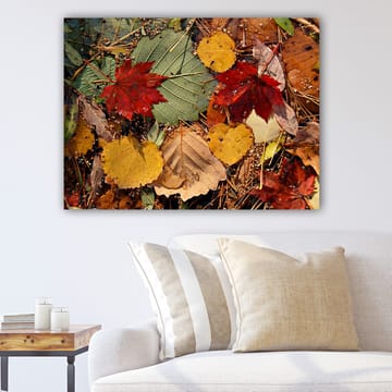 Dekorativ Canvastavla 70x100 cm - Flerfärgad - Inredning - Tavlor & posters - Canvastavla