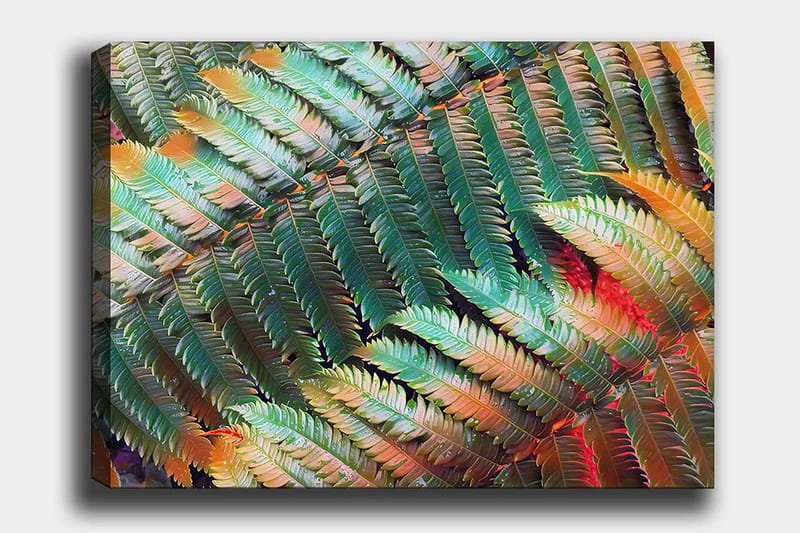 Dekorativ Canvastavla 70x100 cm - Flerfärgad - Inredning - Tavlor & posters - Canvastavla