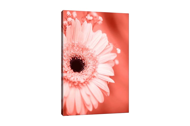 Dekorativ Canvastavla 70x100 cm - Flerfärgad - Inredning - Tavlor & posters - Canvastavla