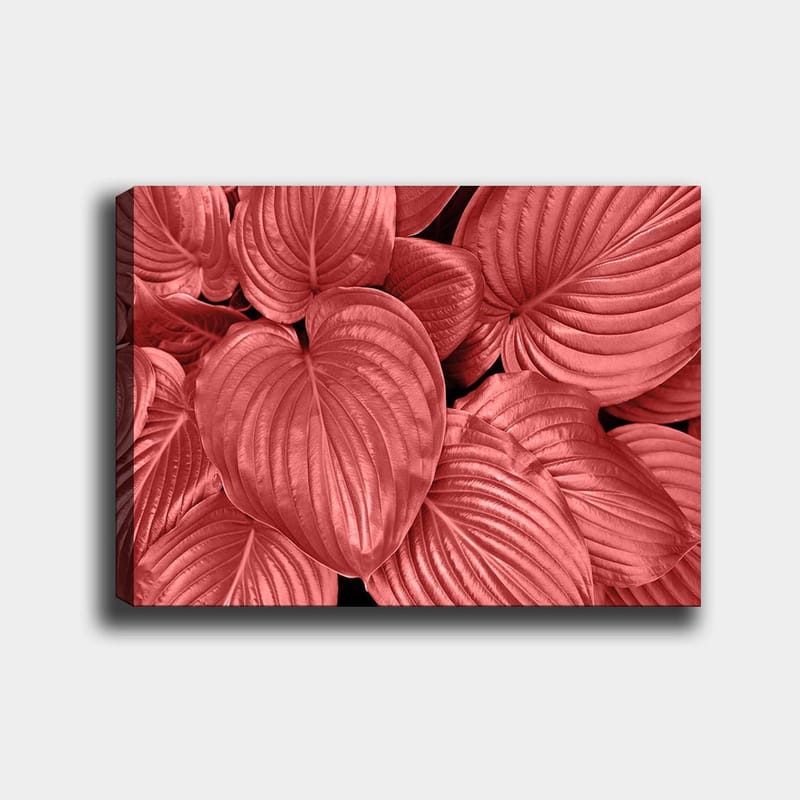 Dekorativ Canvastavla 70x100 cm - Flerfärgad - Inredning - Tavlor & posters - Canvastavla