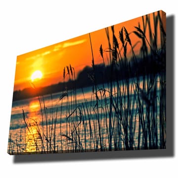 Dekorativ Canvastavla 70x100 cm - Flerfärgad - Inredning - Tavlor & posters - Canvastavla