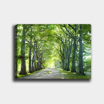 Dekorativ Canvastavla 70x100 cm - Flerfärgad - Inredning - Tavlor & posters - Canvastavla