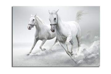 Dekorativ Canvastavla 70x100 cm - Flerfärgad - Inredning - Tavlor & posters - Canvastavla