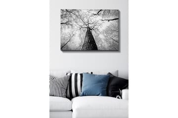 Dekorativ Canvastavla 70x100 cm - Flerfärgad - Inredning - Tavlor & posters - Canvastavla