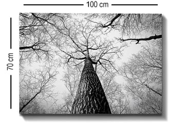 Dekorativ Canvastavla 70x100 cm - Flerfärgad - Inredning - Tavlor & posters - Canvastavla