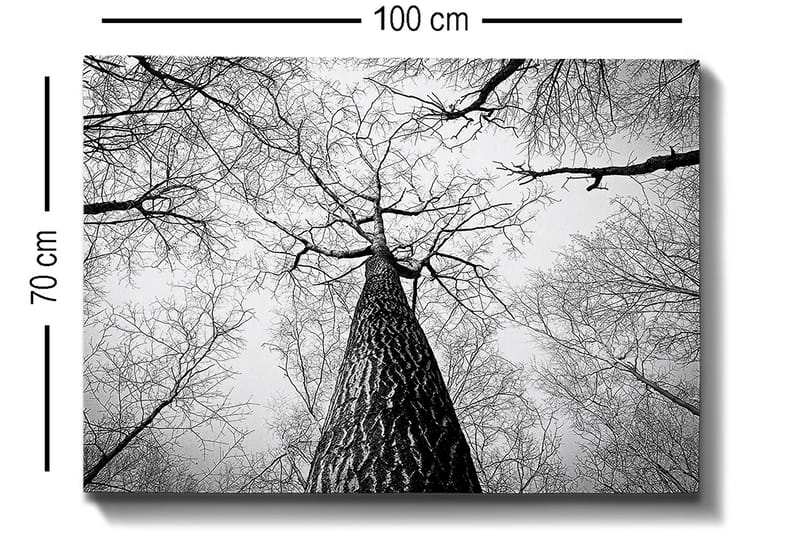 Dekorativ Canvastavla 70x100 cm - Flerfärgad - Inredning - Tavlor & posters - Canvastavla