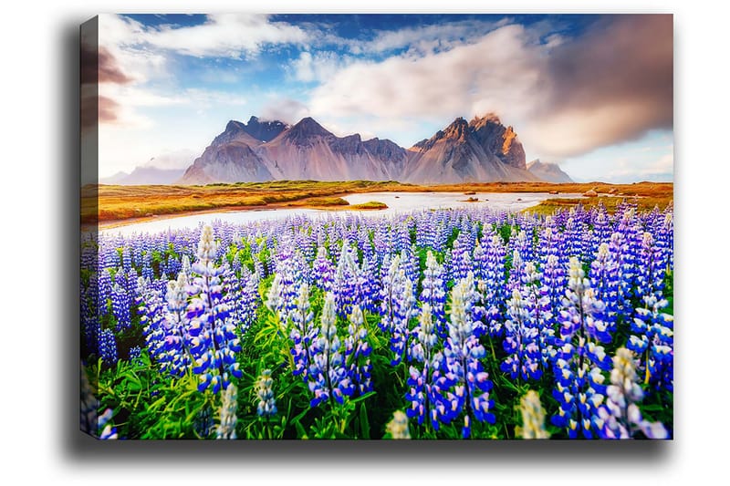 Dekorativ Canvastavla 70x100 cm - Flerfärgad - Inredning - Tavlor & posters - Canvastavla