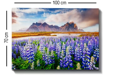 Dekorativ Canvastavla 70x100 cm - Flerfärgad - Inredning - Tavlor & posters - Canvastavla
