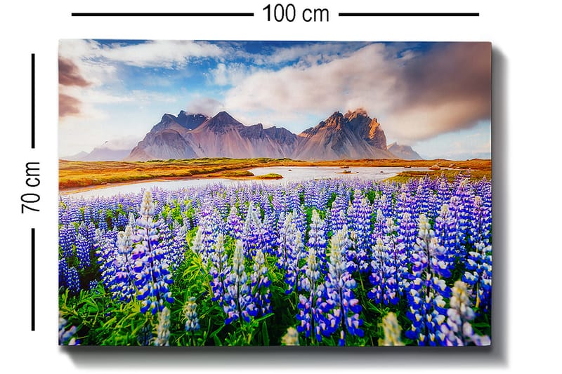 Dekorativ Canvastavla 70x100 cm - Flerfärgad - Inredning - Tavlor & posters - Canvastavla