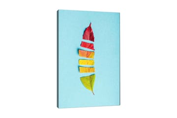 Dekorativ Canvastavla 70x100 cm - Flerfärgad - Inredning - Tavlor & posters - Canvastavla
