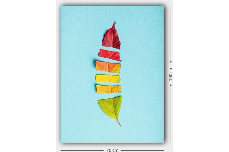 Dekorativ Canvastavla 70x100 cm - Flerfärgad - Inredning - Tavlor & posters - Canvastavla