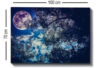Dekorativ Canvastavla 70x100 cm - Flerfärgad - Inredning - Tavlor & posters - Canvastavla