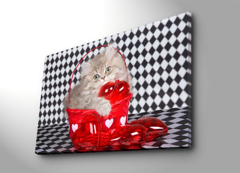Dekorativ Canvastavla 70x100 cm - Flerfärgad - Inredning - Tavlor & posters - Canvastavla