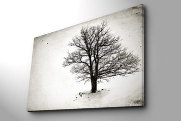 Dekorativ Canvastavla 70x100 cm - Flerfärgad - Inredning - Tavlor & posters - Canvastavla