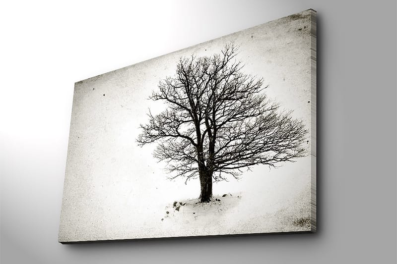 Dekorativ Canvastavla 70x100 cm - Flerfärgad - Inredning - Tavlor & posters - Canvastavla