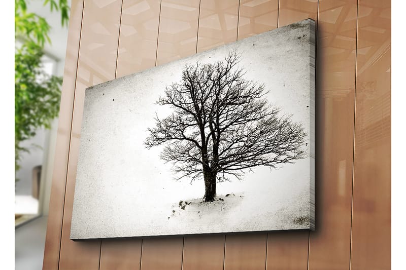 Dekorativ Canvastavla 70x100 cm - Flerfärgad - Inredning - Tavlor & posters - Canvastavla