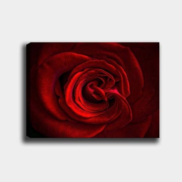 Dekorativ Canvastavla 70x100 cm - Flerfärgad - Inredning - Tavlor & posters - Canvastavla