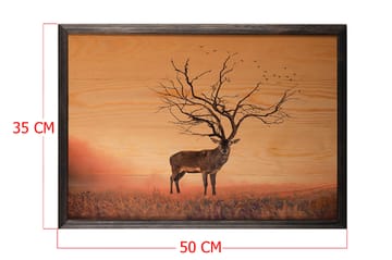 Dekorativ inramad målning  35x50 cm - Flerfärgad - Inredning - Tavlor & posters - Canvastavla