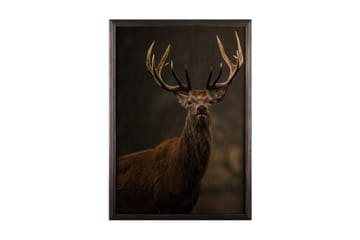 Dekorativ inramad målning  35x50 cm - Flerfärgad - Inredning - Tavlor & posters - Canvastavla