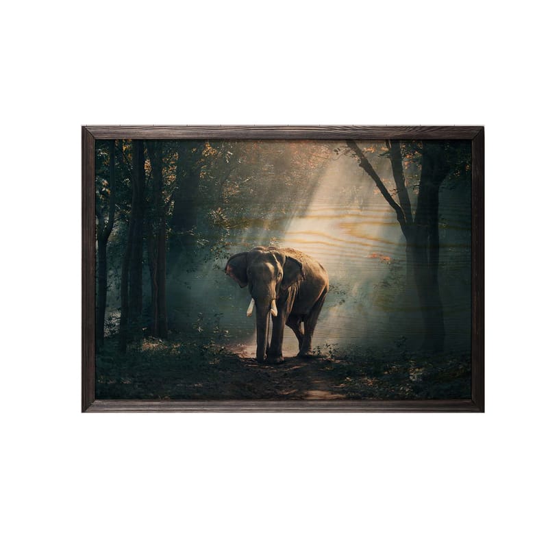 Dekorativ inramad målning  35x50 cm - Flerfärgad - Inredning - Tavlor & posters - Canvastavla