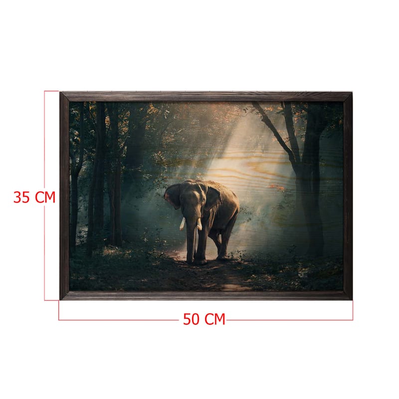 Dekorativ inramad målning  35x50 cm - Flerfärgad - Inredning - Tavlor & posters - Canvastavla