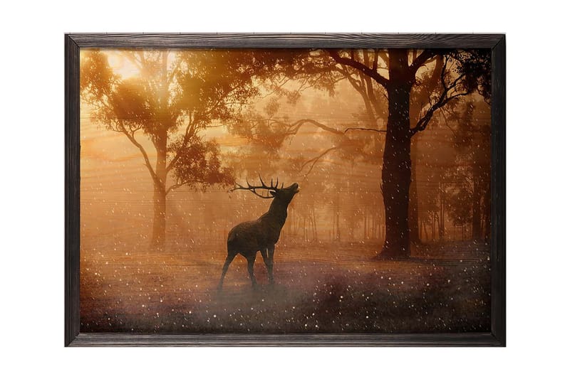 Dekorativ inramad målning  35x50 cm - Flerfärgad - Inredning - Tavlor & posters - Canvastavla