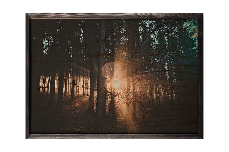 Dekorativ inramad målning  50x70 cm - Flerfärgad - Inredning - Tavlor & posters - Canvastavla