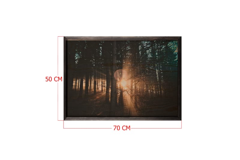 Dekorativ inramad målning  50x70 cm - Flerfärgad - Inredning - Tavlor & posters - Canvastavla