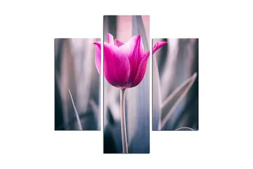 Dekorativ MDF-målning 3 Delar - Flerfärgad - Inredning - Tavlor & posters - Canvastavla