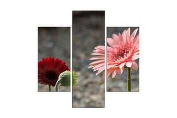 Dekorativ MDF-målning 3 Delar - Flerfärgad - Inredning - Tavlor & posters - Canvastavla