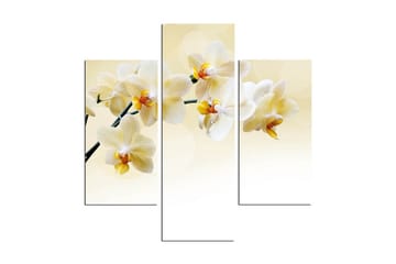 Dekorativ MDF-målning 3 Delar - Flerfärgad - Inredning - Tavlor & posters - Canvastavla